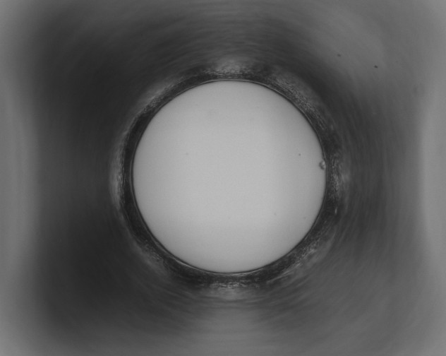 X0000100350728200806271401