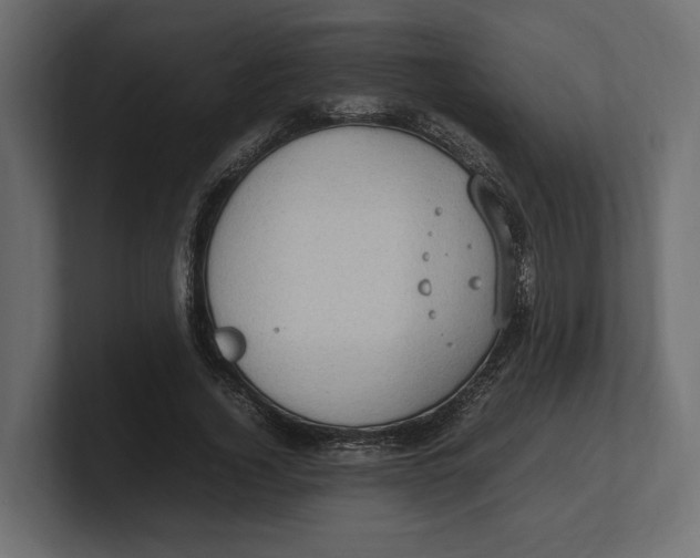 X0000100350732200806271401