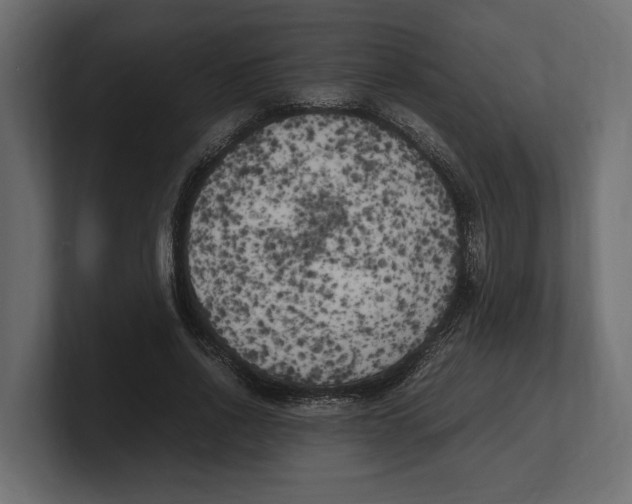 X0000100350734200806271401