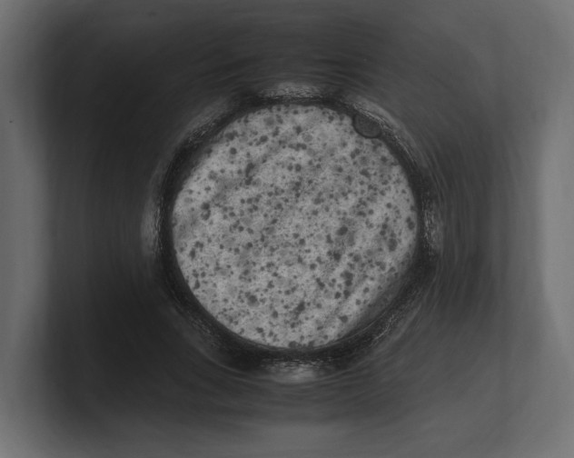 X0000100350735200806271401