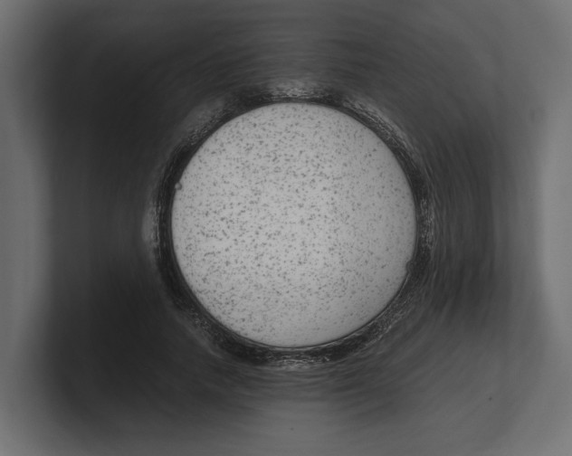 X0000100350738200806271401