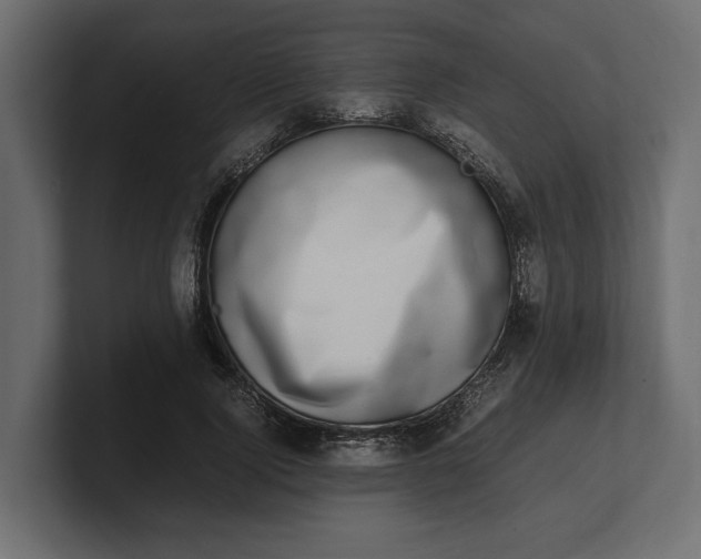 X0000100350740200806271401