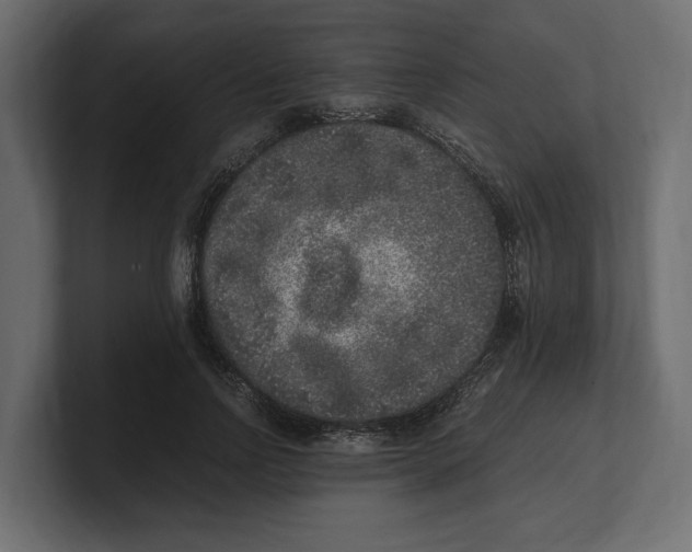 X0000100350742200806271401