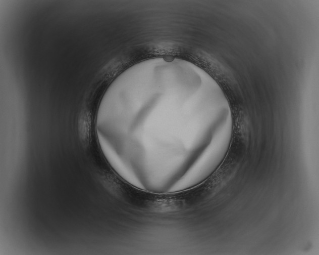 X0000100350744200806271401