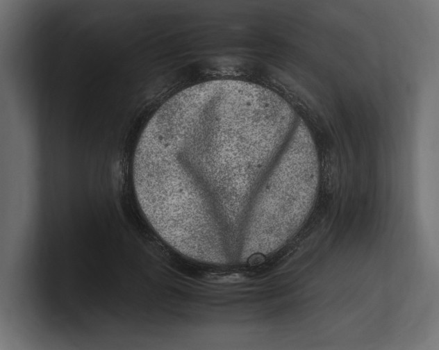 X0000100350747200806271401