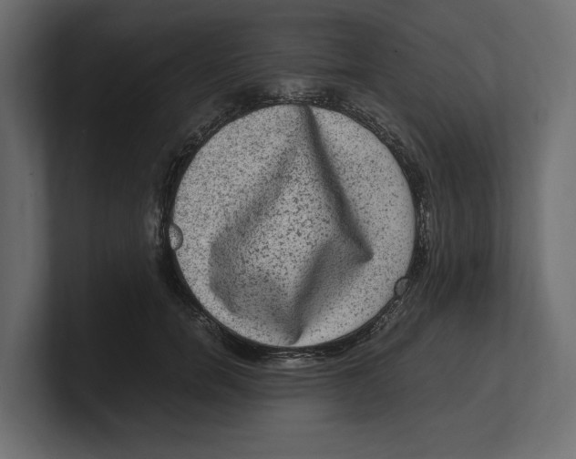 X0000100350750200806271401