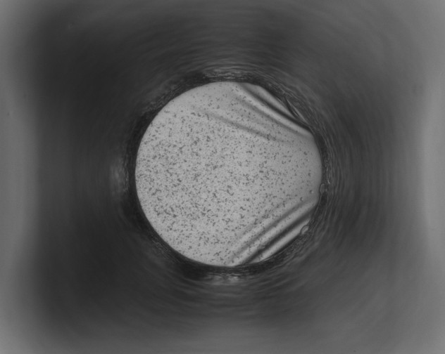 X0000100350751200806271401