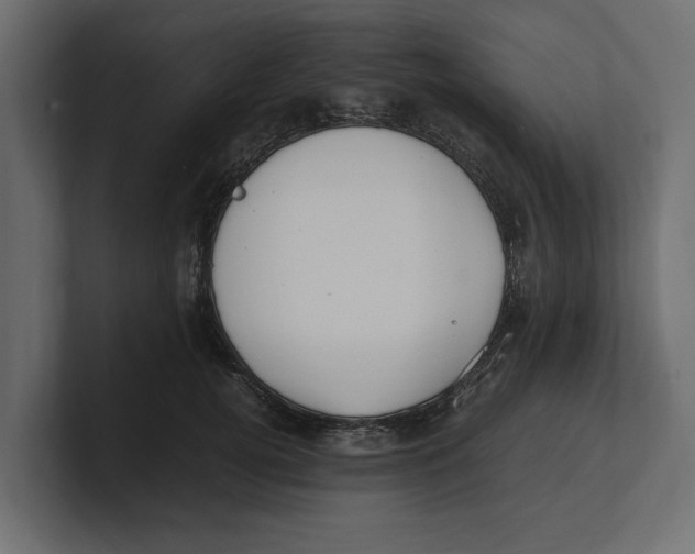 X0000100350752200806271401