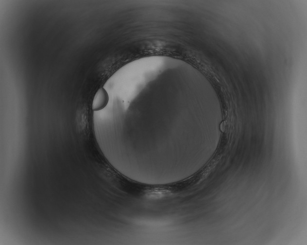 X0000100350754200806271401