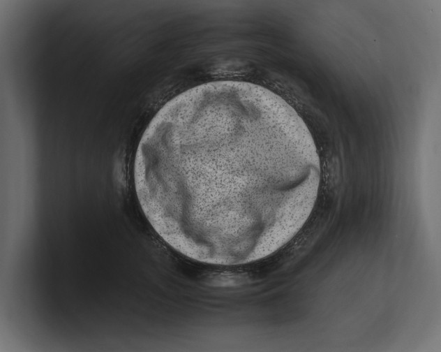 X0000100350755200806271401