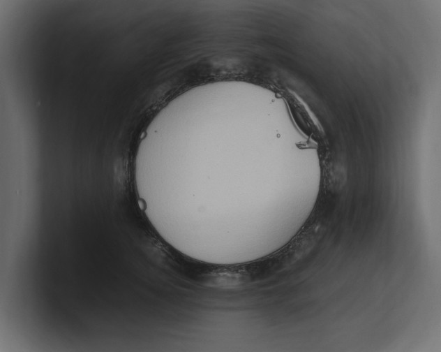 X0000100350756200806271401