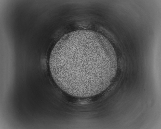 X0000100350757200806271402