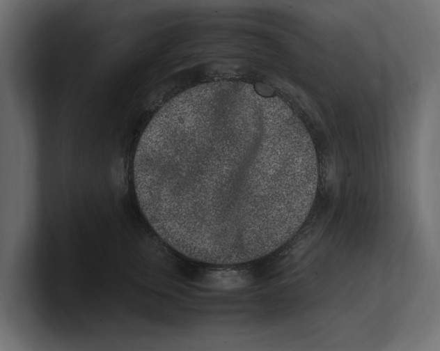 X0000100350759200806271402