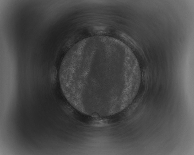 X0000100350760200806271402