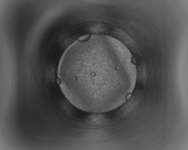 X0000100350762200806271402