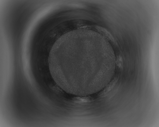 X0000100350763200806271402