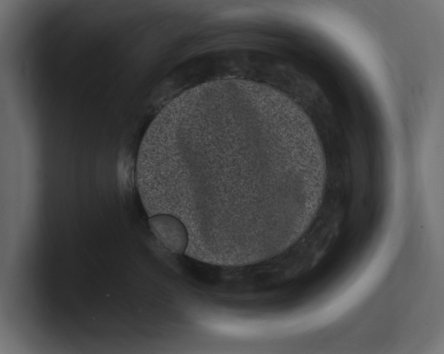 X0000100350766200806271402