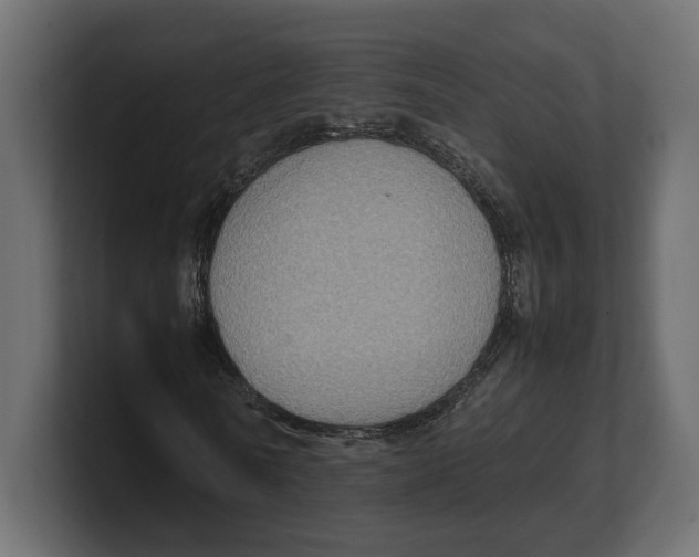 X0000100350770200806271401