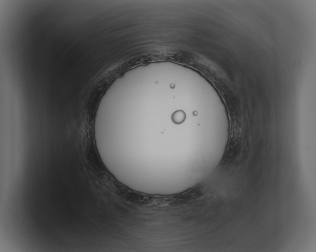 X0000100350773200806271401