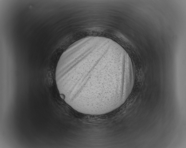 X0000100350774200806271401