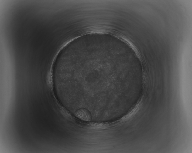 X0000100350779200806271401