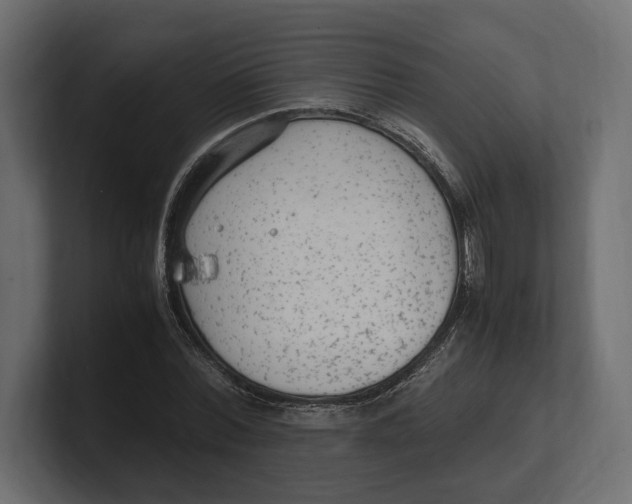 X0000100350780200806271401