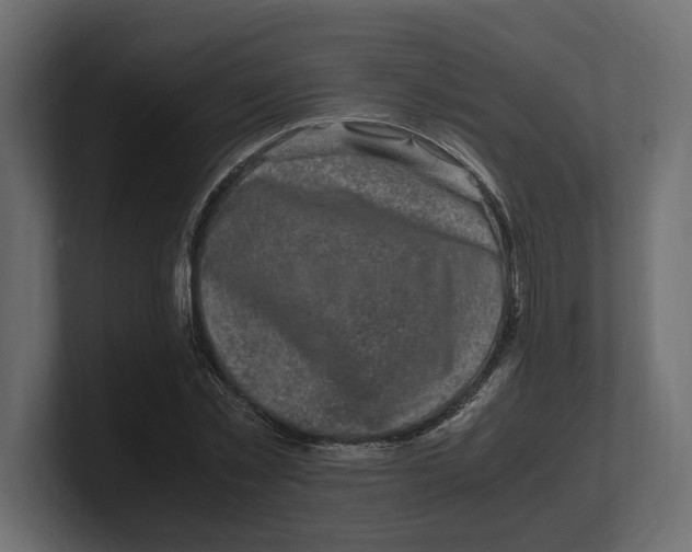 X0000100350781200806271401