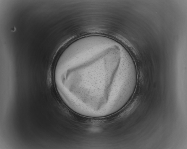 X0000100350782200806271401