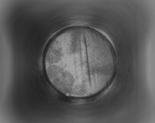 X0000100350783200806271401