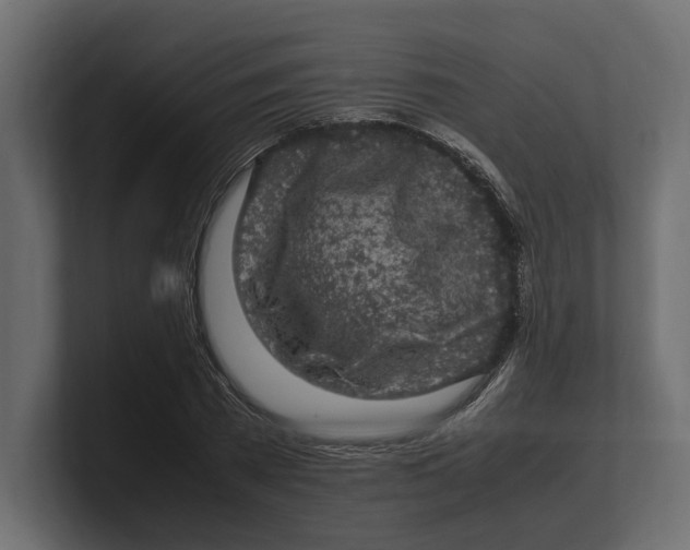 X0000100350785200806271401