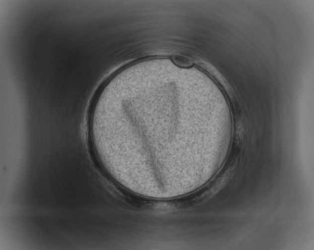 X0000100350787200806271401