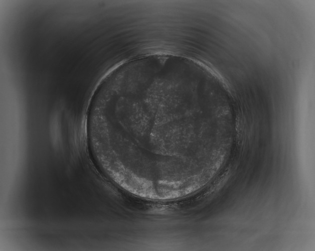 X0000100350790200806271401