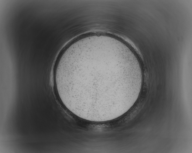 X0000100350791200806271401