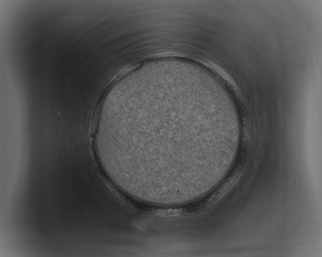 X0000100350793200806271401