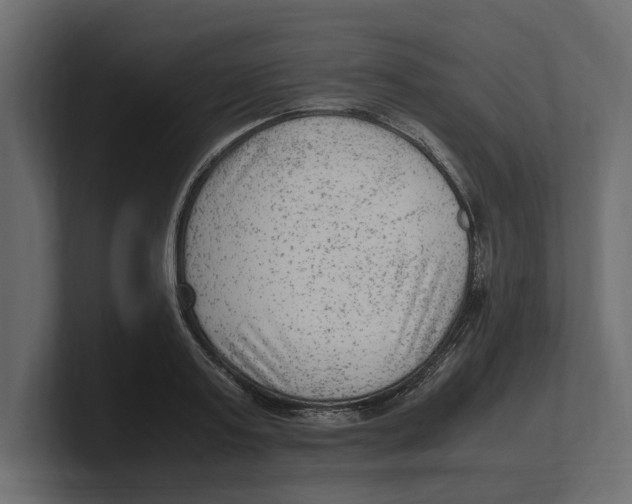 X0000100350795200806271401