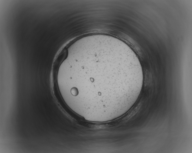 X0000100350796200806271401