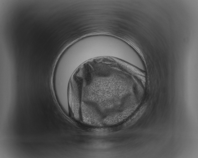 X0000100350797200806271401