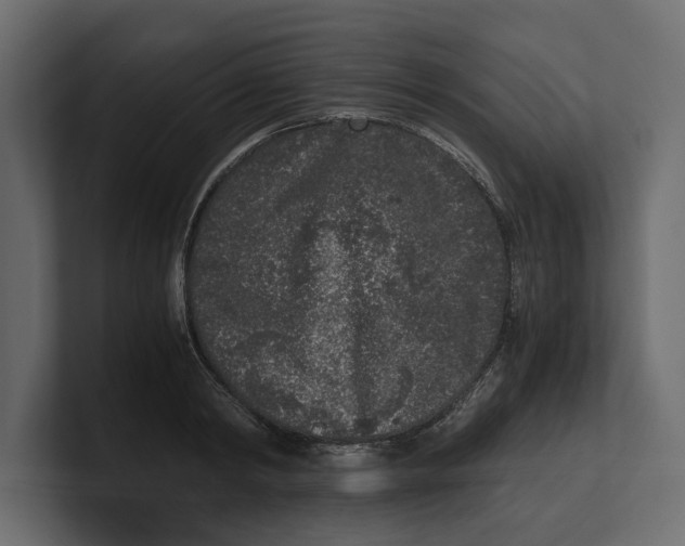 X0000100350798200806271401