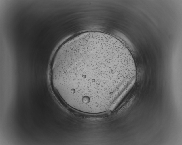 X0000100350804200806271400