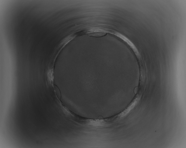 X0000100350809200806271400