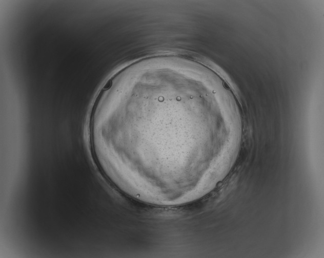 X0000100350811200806271400