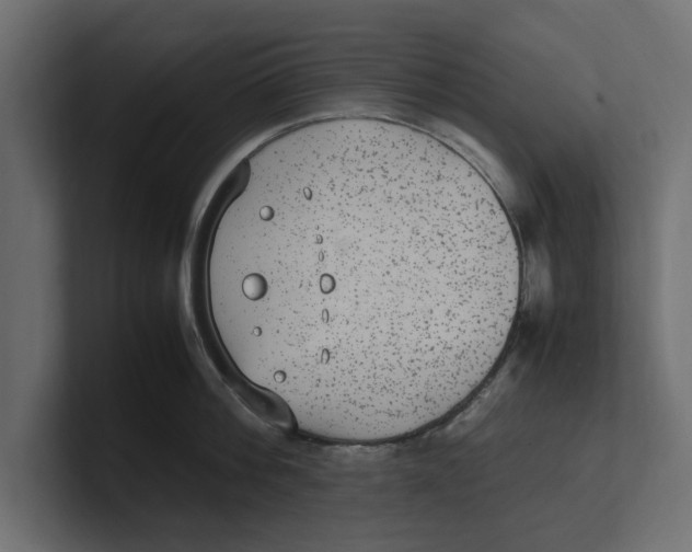 X0000100350812200806271400