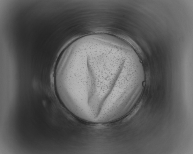 X0000100350814200806271400