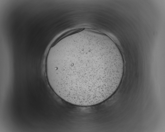 X0000100350816200806271400