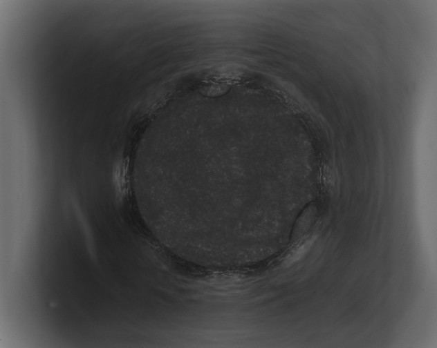 X0000100350818200806271400