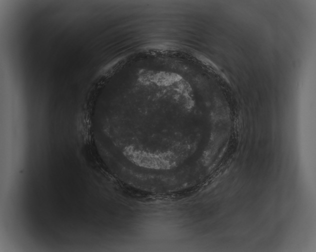 X0000100350822200806271400