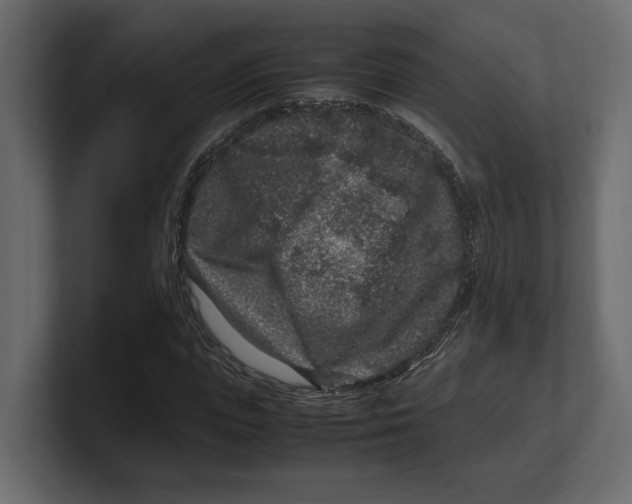 X0000100350823200806271400