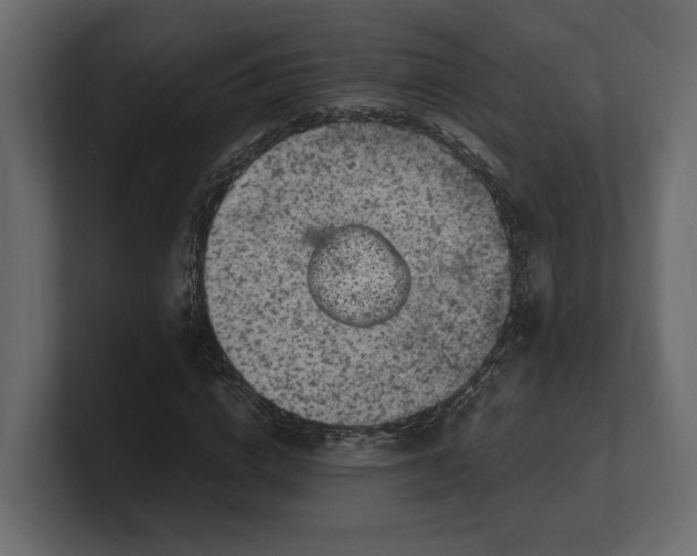 X0000100350824200806271400