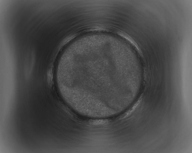 X0000100350826200806271400