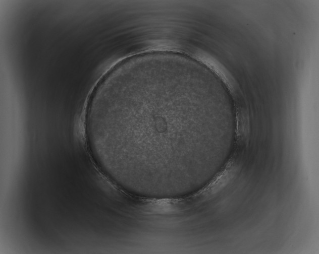 X0000100350828200806271400